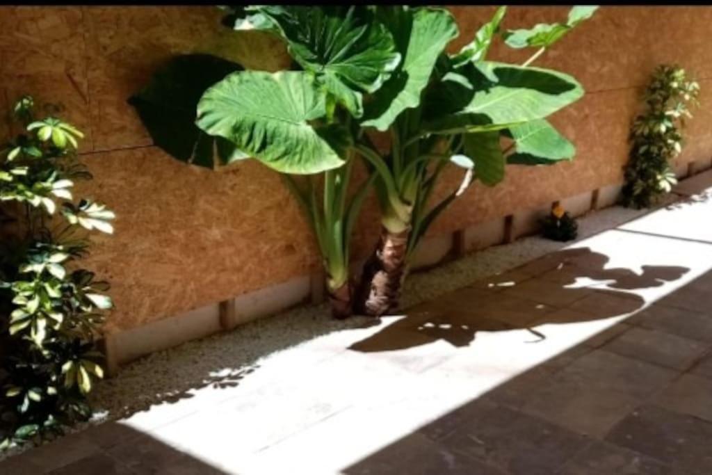 Al Lado Playa Apartment Playa de Gandia